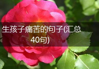 生孩子痛苦的句子(汇总40句)
