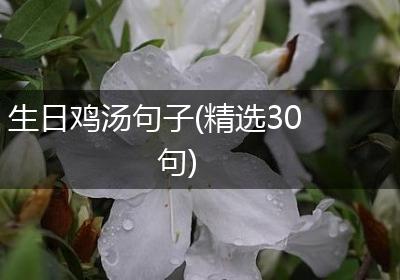生日鸡汤句子(精选30句)
