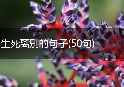 生死离别的句子(50句)