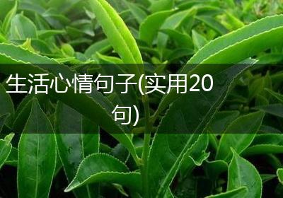 生活心情句子(实用20句)