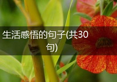 生活感悟的句子(共30句)