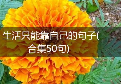 生活只能靠自己的句子(合集50句)