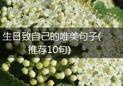 生日致自己的唯美句子(推荐10句)