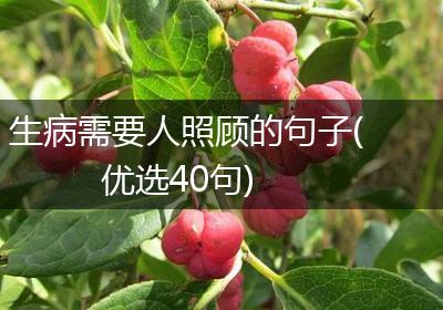 生病需要人照顾的句子(优选40句)