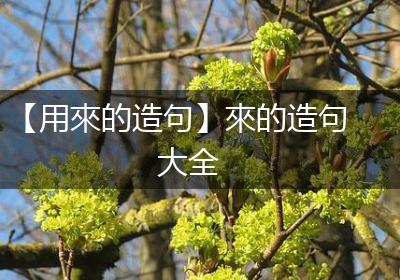 【用來的造句】來的造句大全