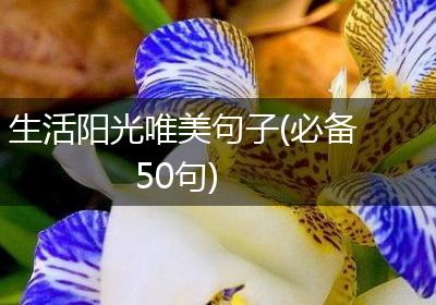 生活阳光唯美句子(必备50句)