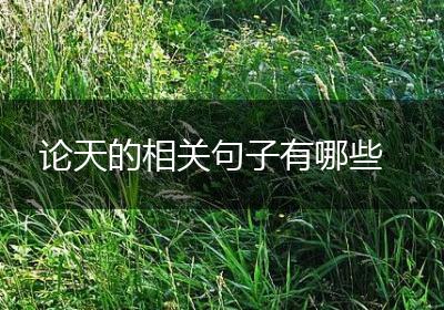 论天的相关句子有哪些