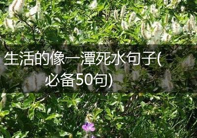 生活的像一潭死水句子(必备50句)