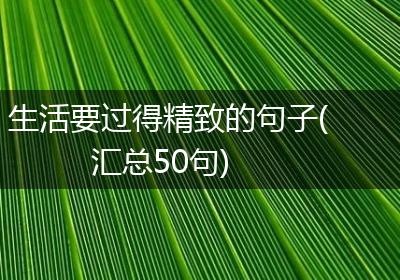 生活要过得精致的句子(汇总50句)