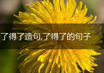 了得了造句,了得了的句子