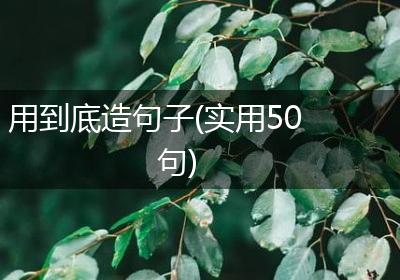 用到底造句子(实用50句)