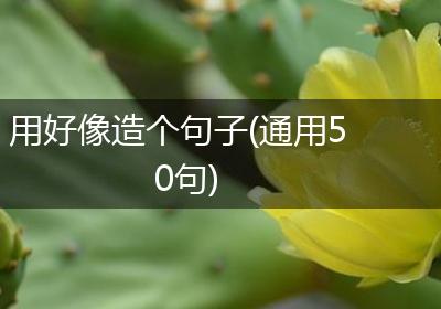 用好像造个句子(通用50句)