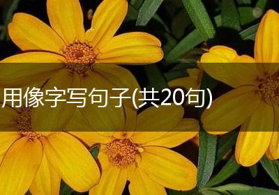 用像字写句子(共20句)