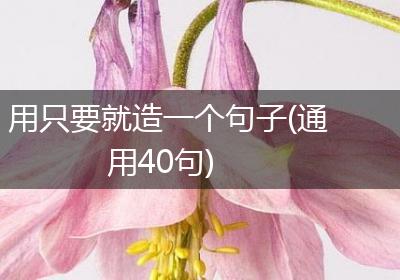 用只要就造一个句子(通用40句)
