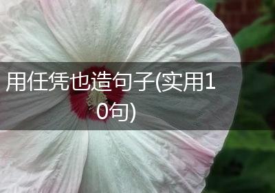用任凭也造句子(实用10句)