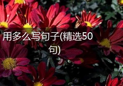 用多么写句子(精选50句)
