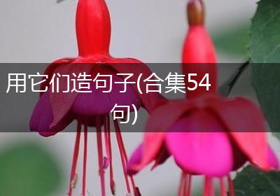 用它们造句子(合集54句)