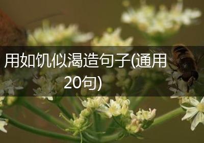 用如饥似渴造句子(通用20句)