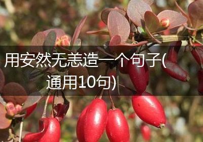 用安然无恙造一个句子(通用10句)