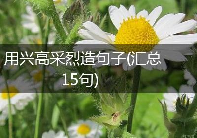 用兴高采烈造句子(汇总15句)