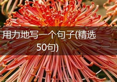 用力地写一个句子(精选50句)