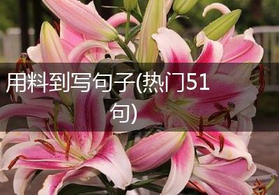 用料到写句子(热门51句)