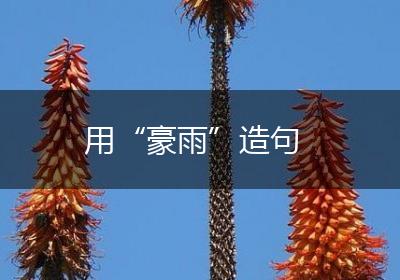 用“豪雨”造句