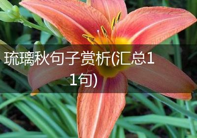 琉璃秋句子赏析(汇总11句)
