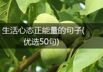 生活心态正能量的句子(优选50句)
