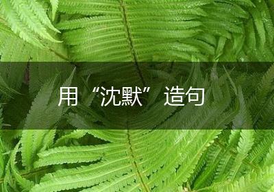 用“沈默”造句