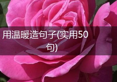 用温暖造句子(实用50句)