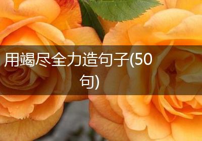 用竭尽全力造句子(50句)