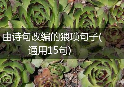 由诗句改编的猥琐句子(通用15句)