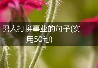 男人打拼事业的句子(实用50句)