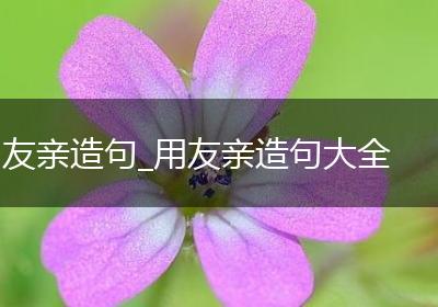 友亲造句_用友亲造句大全