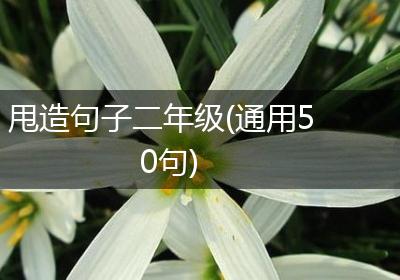 甩造句子二年级(通用50句)