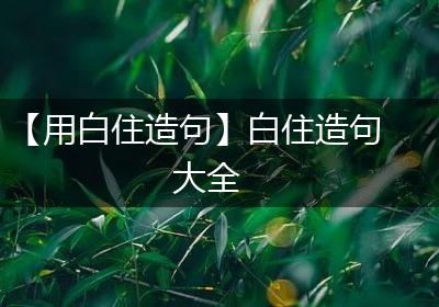 【用白住造句】白住造句大全