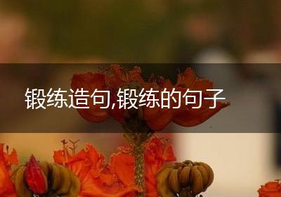 锻练造句,锻练的句子
