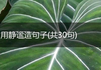 用静谧造句子(共30句)
