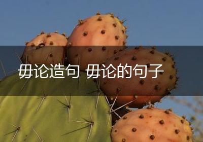 毋论造句 毋论的句子