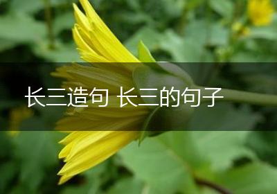 长三造句 长三的句子