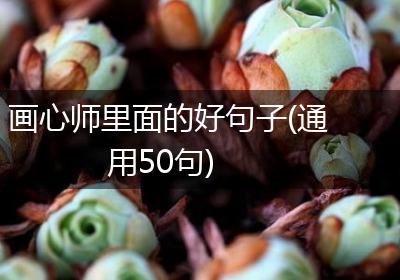 画心师里面的好句子(通用50句)