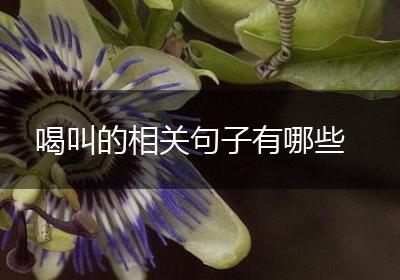 喝叫的相关句子有哪些