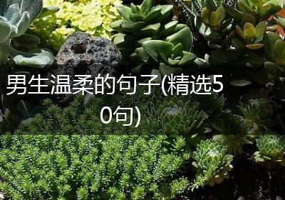 男生温柔的句子(精选50句)