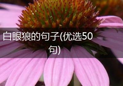 白眼狼的句子(优选50句)
