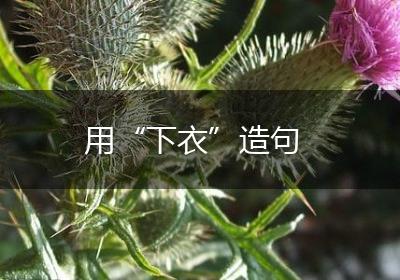 用“下衣”造句