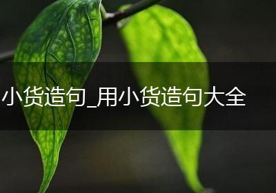 小货造句_用小货造句大全