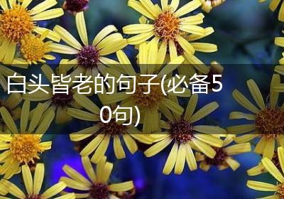 白头皆老的句子(必备50句)