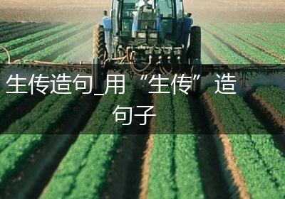 生传造句_用“生传”造句子