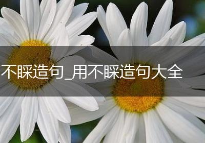 不睬造句_用不睬造句大全